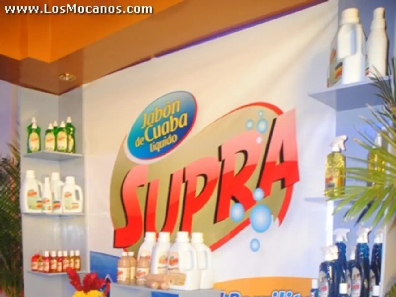 Creating Captivating, Convert-Driving Brands in a Competitive Consumer Landscape