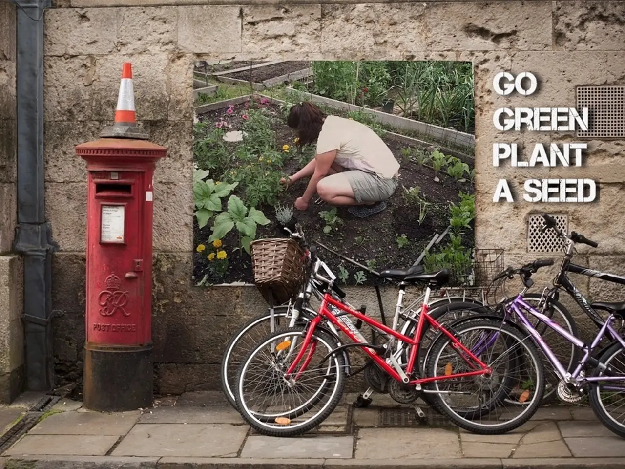 Cycling Path Emerges on Europa Canal in Regensburg - Prohibition of Stops Due to Marking Project