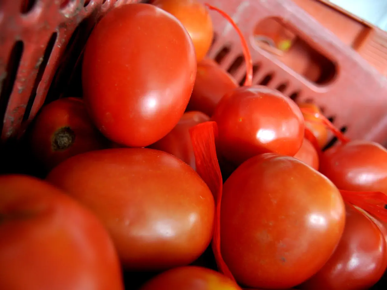 Venerable grocery store, with a history spanning 138 years, submits bankruptcy petition