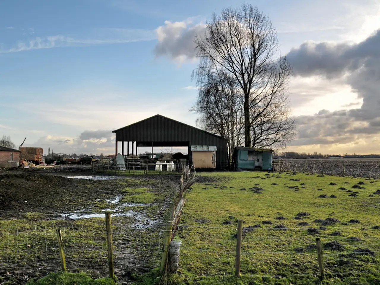 Austen kin's residence available for purchase, nestled within a private preservation region