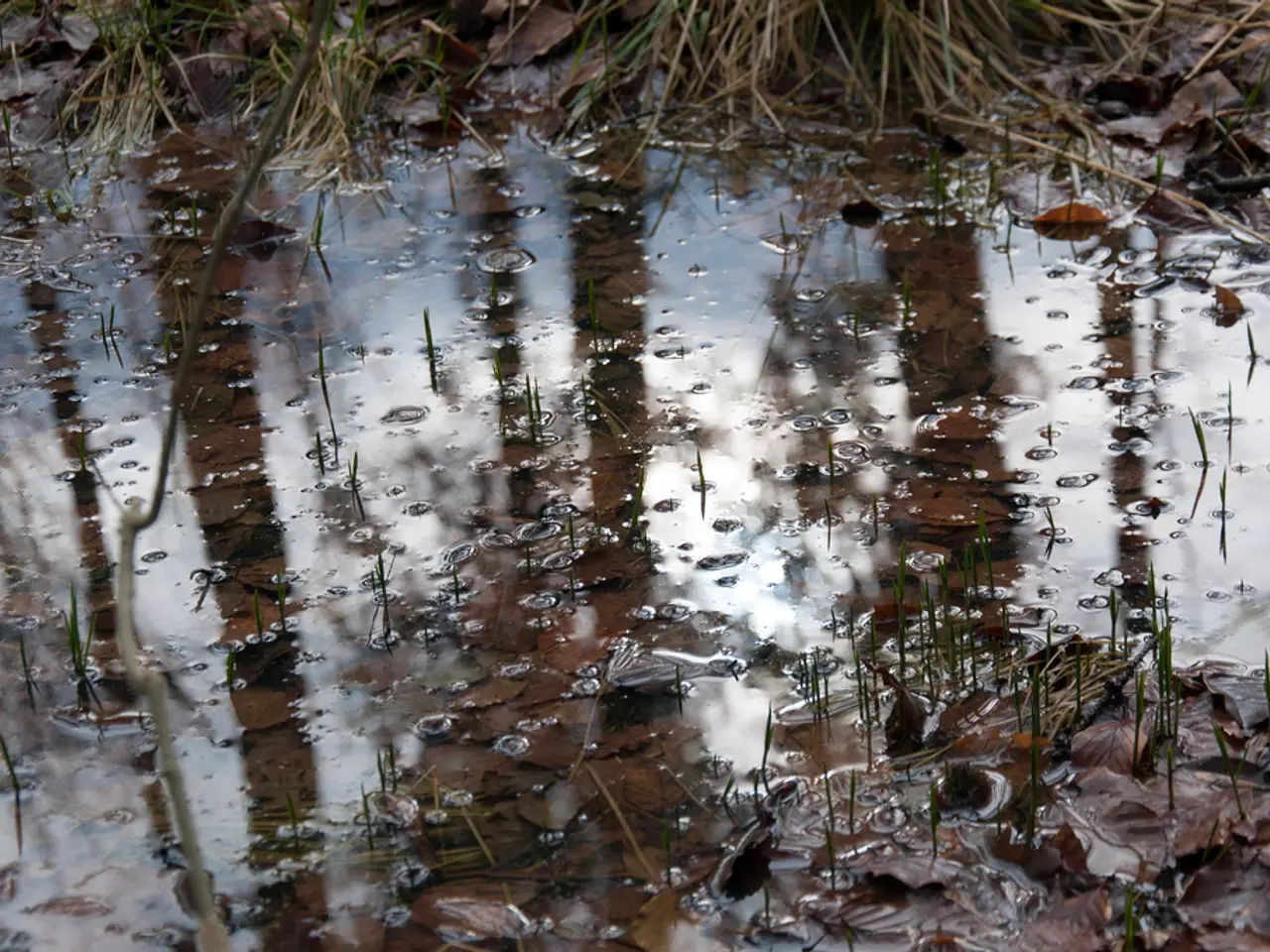 Rapid Expansion Forecasted for Atmospheric Water Generator Market, Projected to Reach 14.4% Growth...