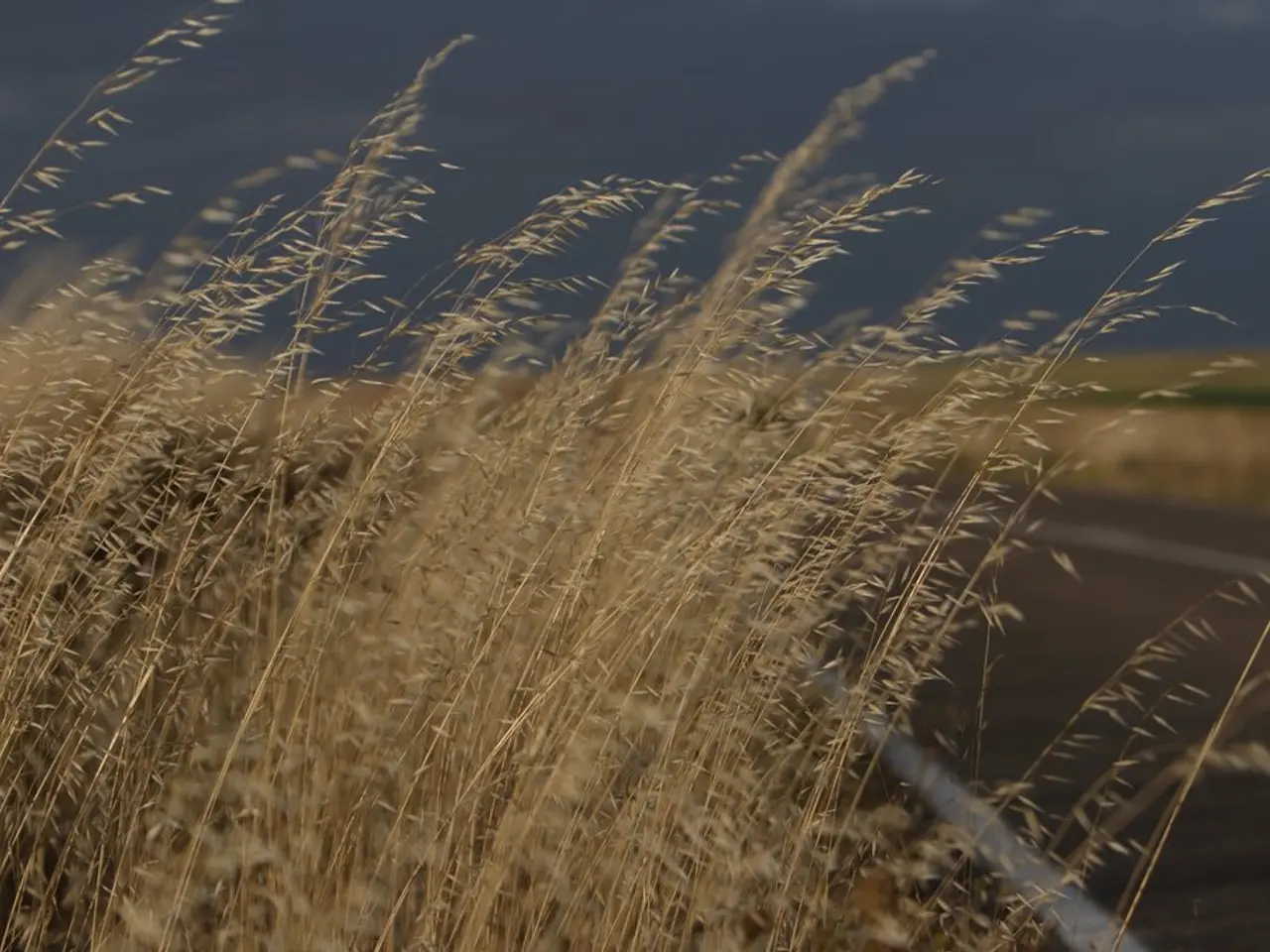 Weekly construction updates: Kentucky Transportation Cabinet carrying out projects on Boone,...