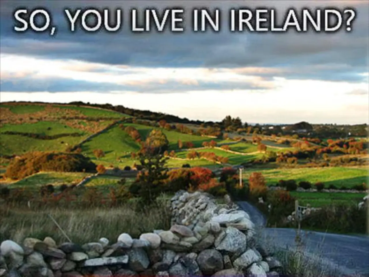 Decrease in Fossil Fuel Subsidies by 6% Observed in Previous Year