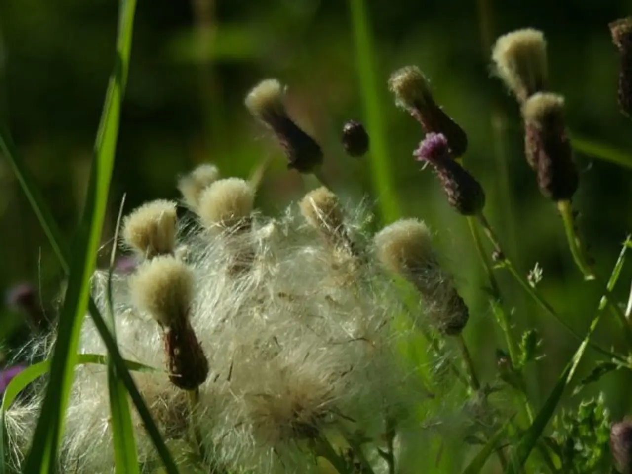 Mayor attends Aminocore event