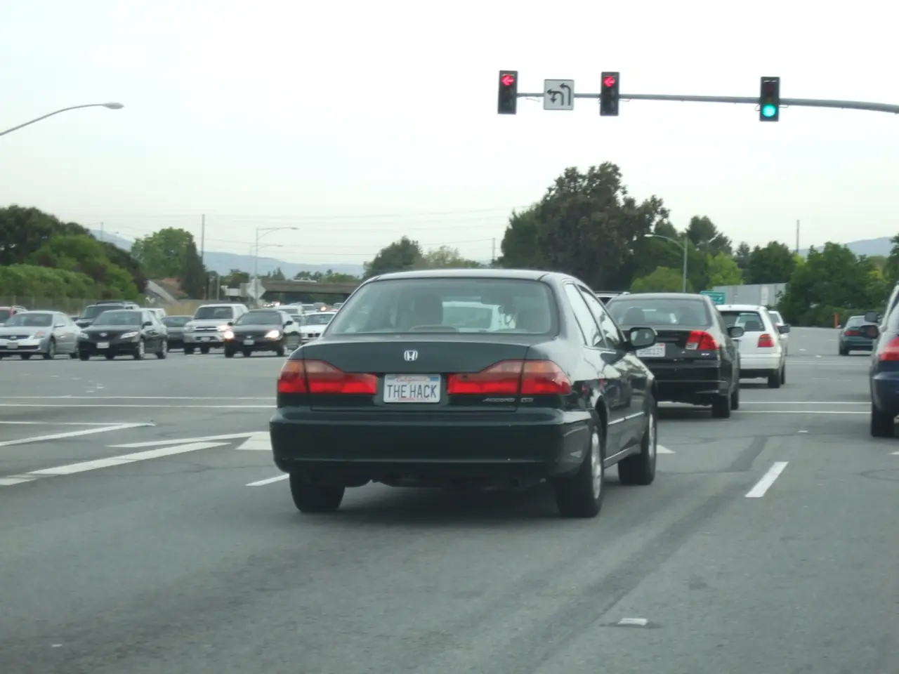 Efficiency Enhancement in Efferen's Transport System