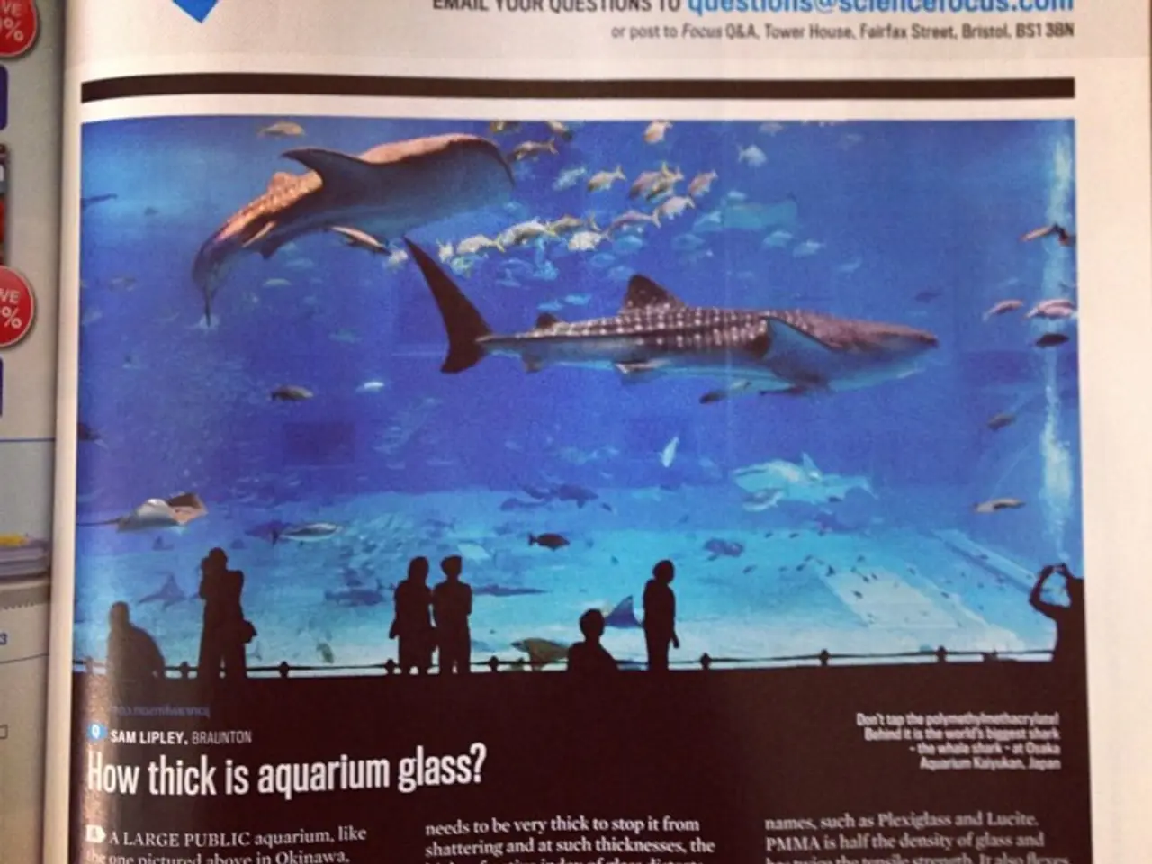 This is a page. On that something is written. Also there are people and fishes.