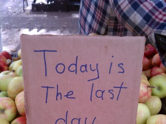 Zalando shares suffer continual financial decline on day two