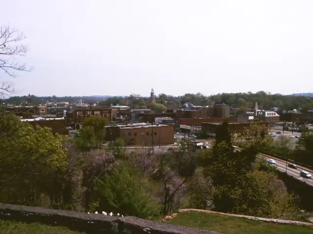 Leaders of the Nation: Resolution of Tax Evasion Issues by the Coming Week