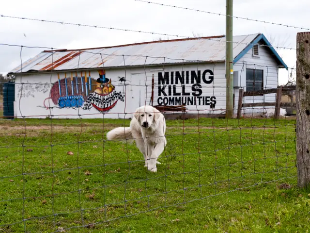 Shared Finances: Dividing House Rent Allowance and Home Loan Expenses Among Dual Earners