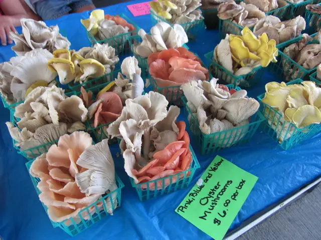 APT Cryptocurrency Surges to $5.27 Following Market Support for Bitwise ETF Initiative