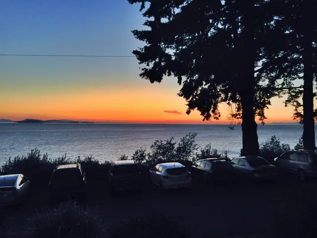 Booming investments in climate change solutions reach unprecedented levels