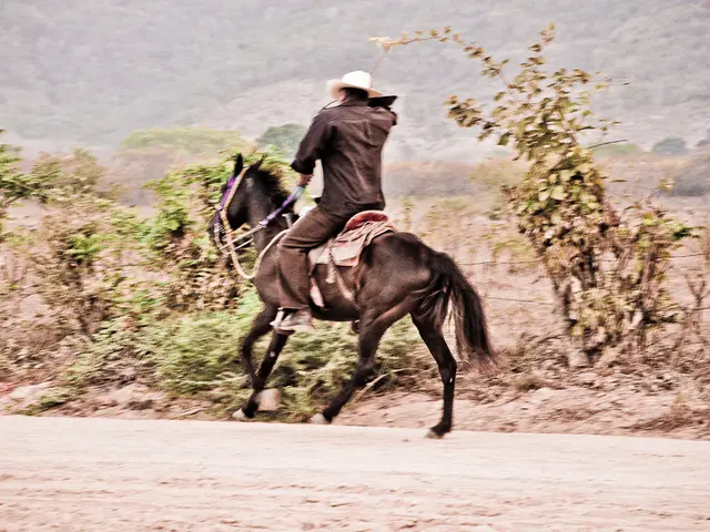 Iowa-based Iron Horse Wealth Management has been purchased by Apella Capital, expanding Apella's...