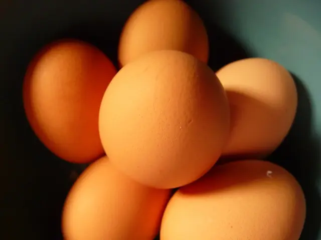 Legal action initiated by Trump administration challenges California's restrictions on egg...