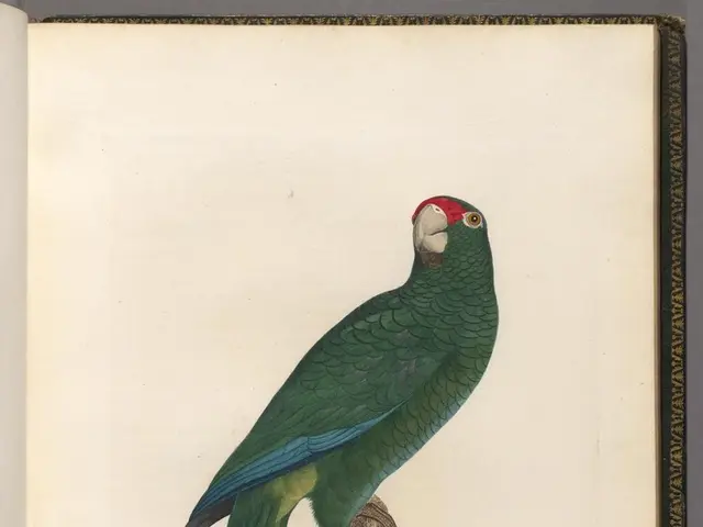 Financial Strategy by Dave Ramsey: Achieving Financial Independence in 10 Steps