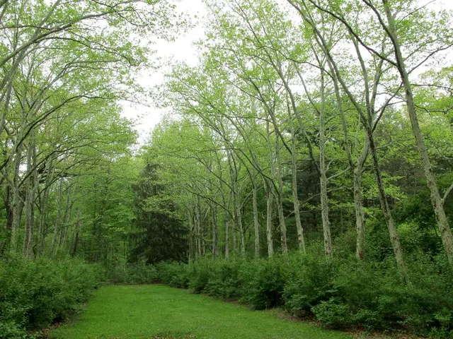 Investors employing biodiversity statistics to shape financial decisions