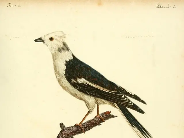 What's the minimum required CIBIL score or credit score for securing a personal loan?