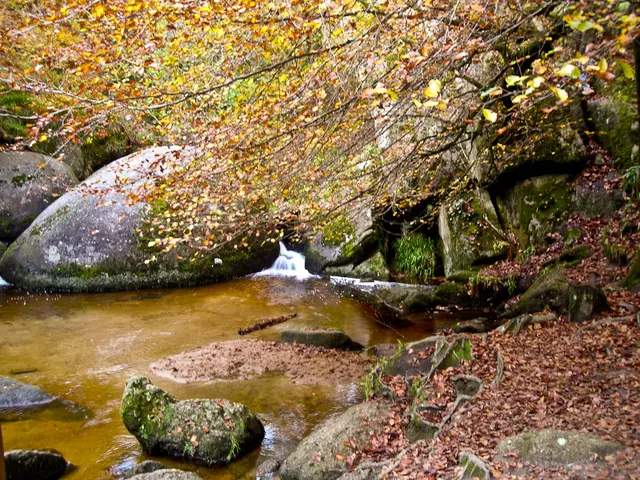 Expanded Perspective on Pike County's Timber Industry