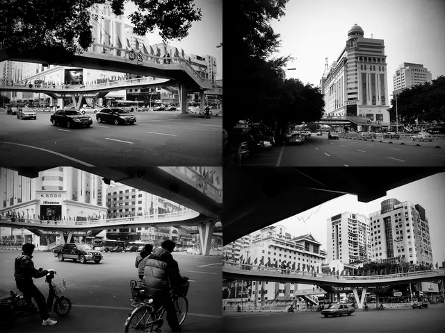 Financial Misconceptions Preventing Financial Security Among Middle-Class Citizens, as Perceived by...