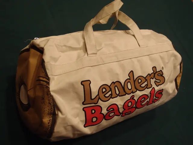 Business Financing: Obtaining Capital and Cash Flow for Your Corporation