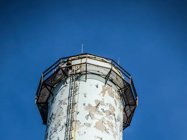 Companies' Responses to Fresh Tariff Timelines: An Overview