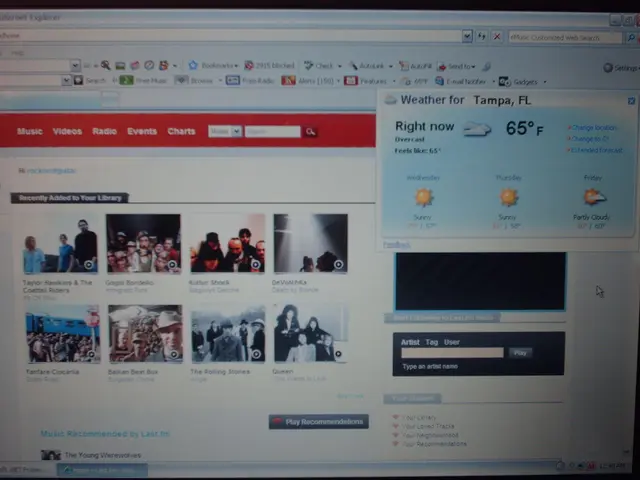 Financial wealth of Wilke Zierden: