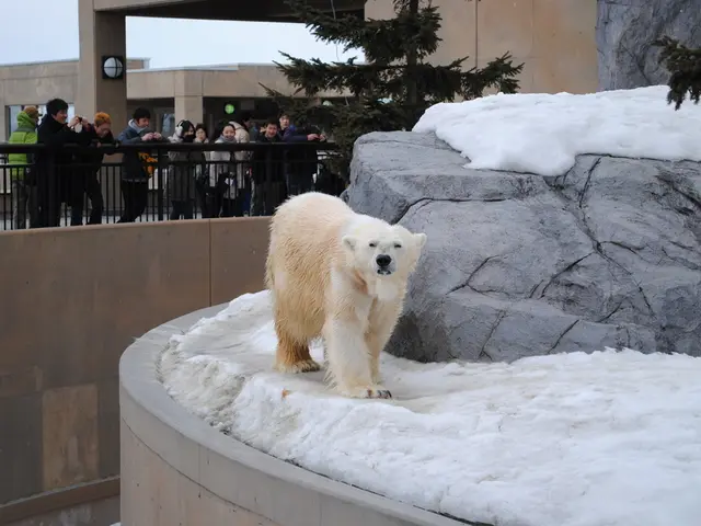 Questions to Consider Before Retiring in a Downturn Economy: