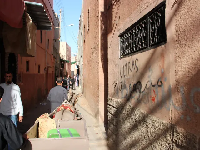 High Cost of Air Drops vs. Land Deliveries: UNRWA Reveals Shocking Discrepancy