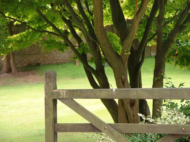 Impact of Grey Belt's Key Principles