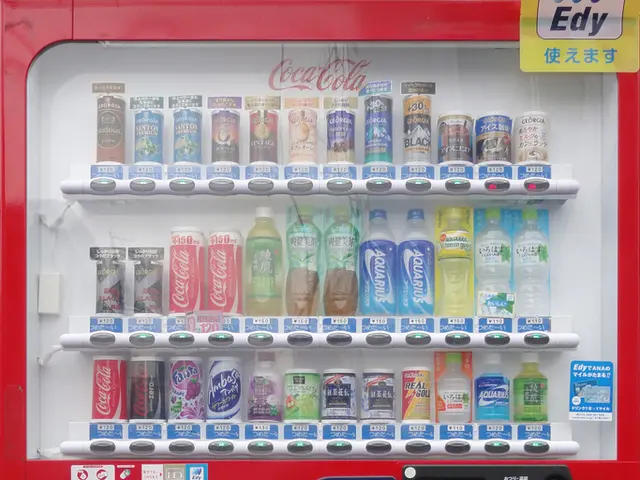 Insightful overview of customizable software solutions under the white label branding