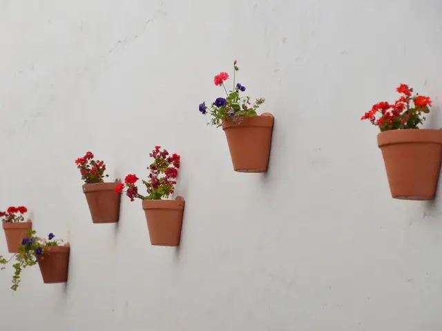 Unaware of Retirement Funds' Locations: Strategies for Retrieving Pension Information