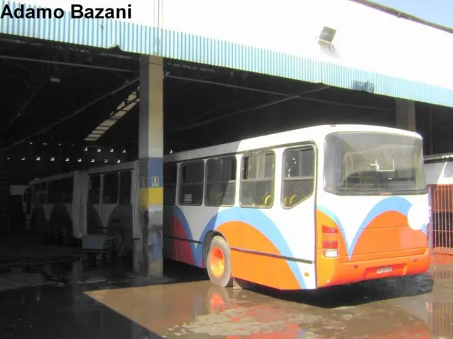 European investment specialists remain optimistic about stocks in the continent, despite ongoing...