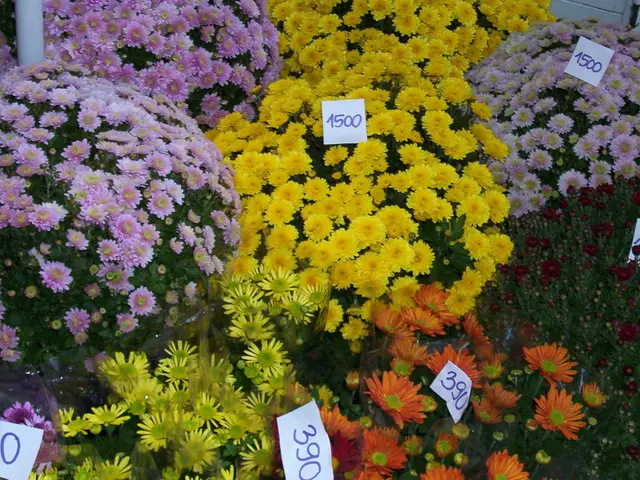 UK energy price critic Martin Lewis labels current system as "sluggish" while forecasting a £100...