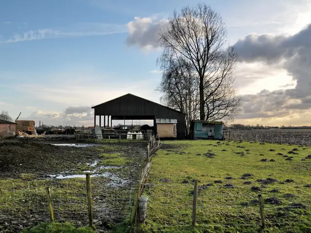 Austen kin's residence available for purchase, nestled within a private preservation region