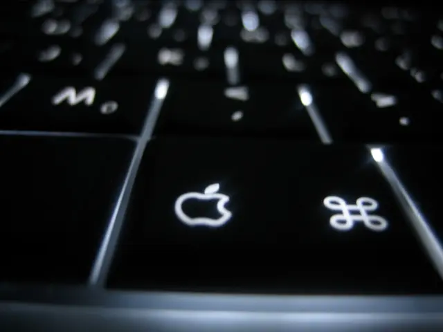 Massive Stock Purchases: Billions Spent on Repurchases in These Shares