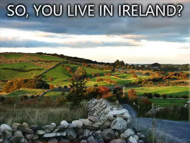 Predicted by Willis: No relief for insurance companies from natural disasters in 2025