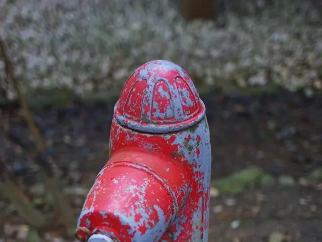 "Funding damage implicates accountability": Ugandan advocate presses investors to disengage from...