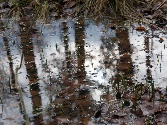 Rapid Expansion Forecasted for Atmospheric Water Generator Market, Projected to Reach 14.4% Growth...