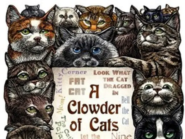 Doge's Gamble in Washington: The Exhaustive Financing Fiasco of the Meme Coin