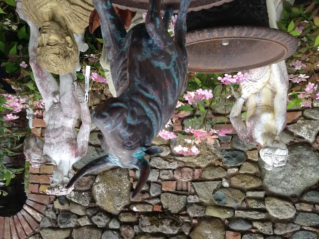 Australia's Murujuga Rock Art Now Recognized as a UNESCO World Heritage Site