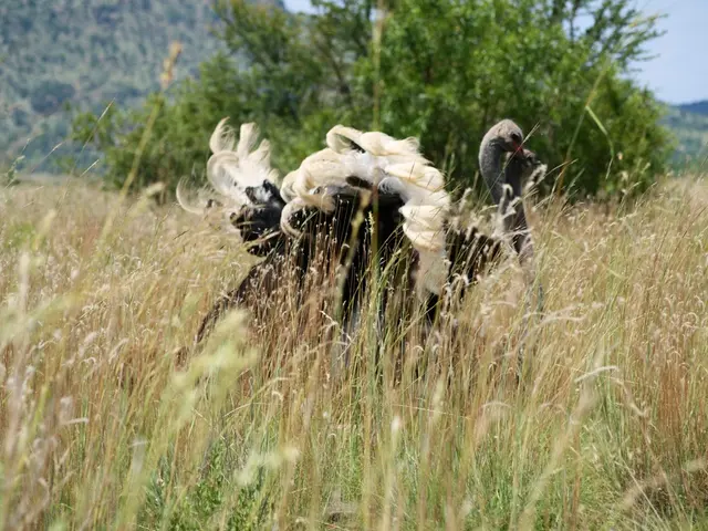 Financing for construction projects by consulting professionals (male/female/diverse)