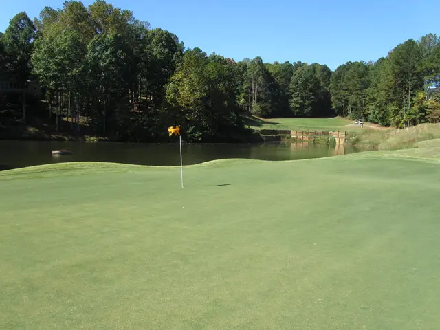 Solar power plants' approvals face potential revocation in Nghe An's plans