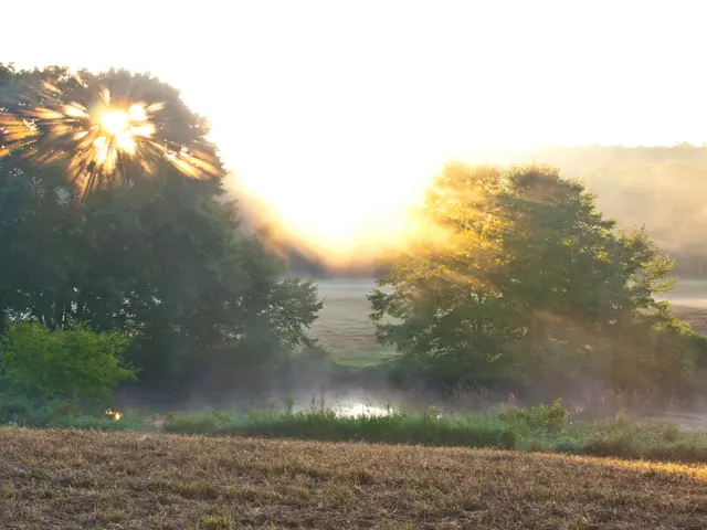 Thriving New Species Discovered in Cambodia's Endangered Karst Landscapes