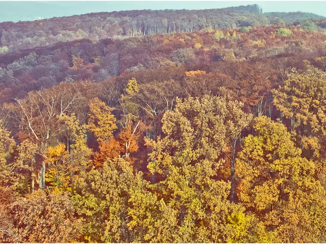 Business Environmental Efficiency Metrics: Strategies for Assessing the Success of Eco-Friendly...