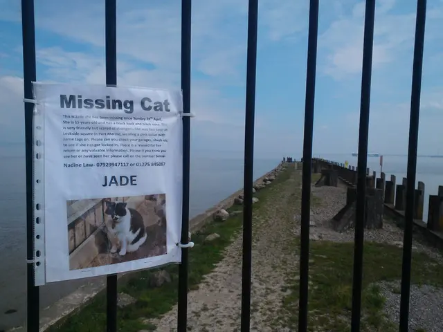 Fossil fuel financing under scrutiny at Nordic banks