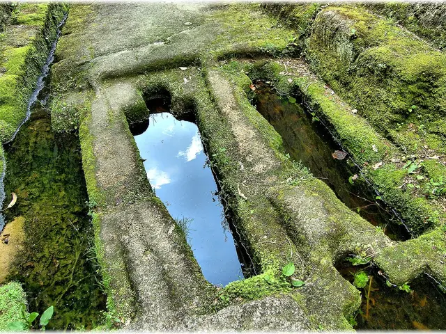 Electrical energy sourced from green means in kid's footwear