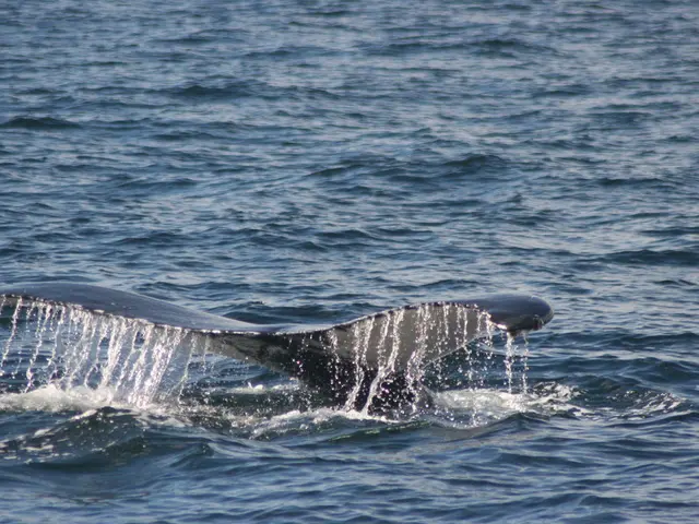 Giant Ethereum Holder Shifts $21 Million to Binance, Gains $45 Million in Profit