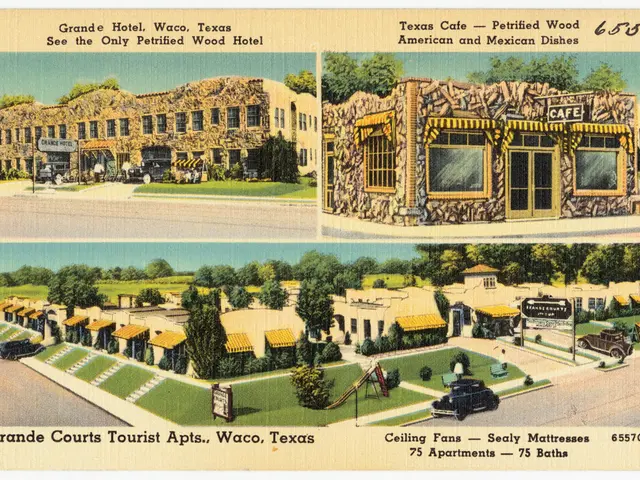 Trump Administration Simplifies Investment of 401(k) Funds in Alternative Assets for General Public