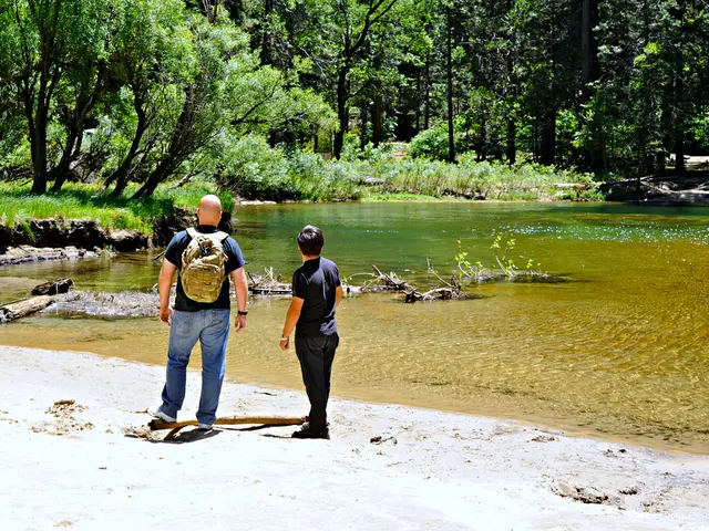 Fossil fuel lending under scrutiny as Nordic banks face criticism