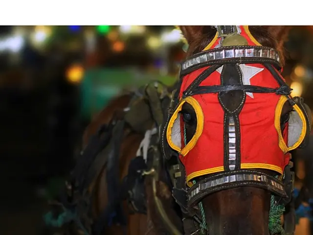 Surged Fivefold: Investments in Single-Family Home Property, as Per Latest Report