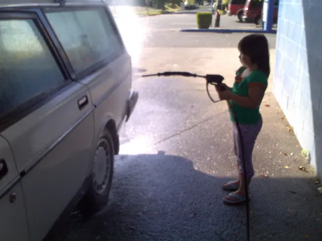 Struggling with finances in retirement and confronted with son's post-divorce request to move back...